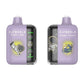 Elf World Plus 20000 | Animated Screen Disposable | Indian Vape Indian Vape Ninja